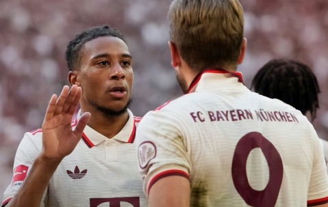 包含里程碑夜布莱顿绝杀压哨，德甲赛后刷纪录，压力陡增，更衣室氛围转暖的词条-yy易游网址